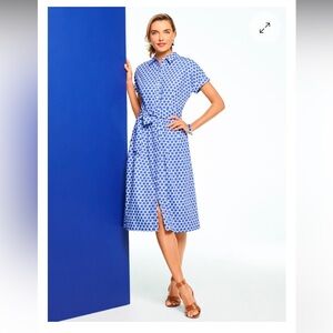 Talbots 100% Cotton Button Down Shirtdress Dolman Sleeves Blue White 12P.